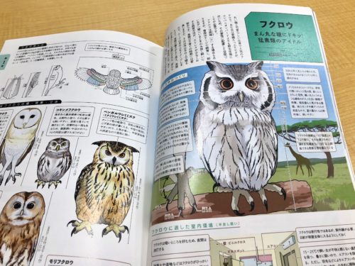 建築知識：小さな動物