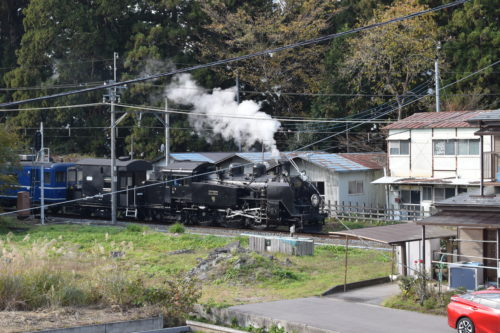 日光の汽車「大樹」